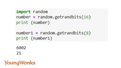 python random.